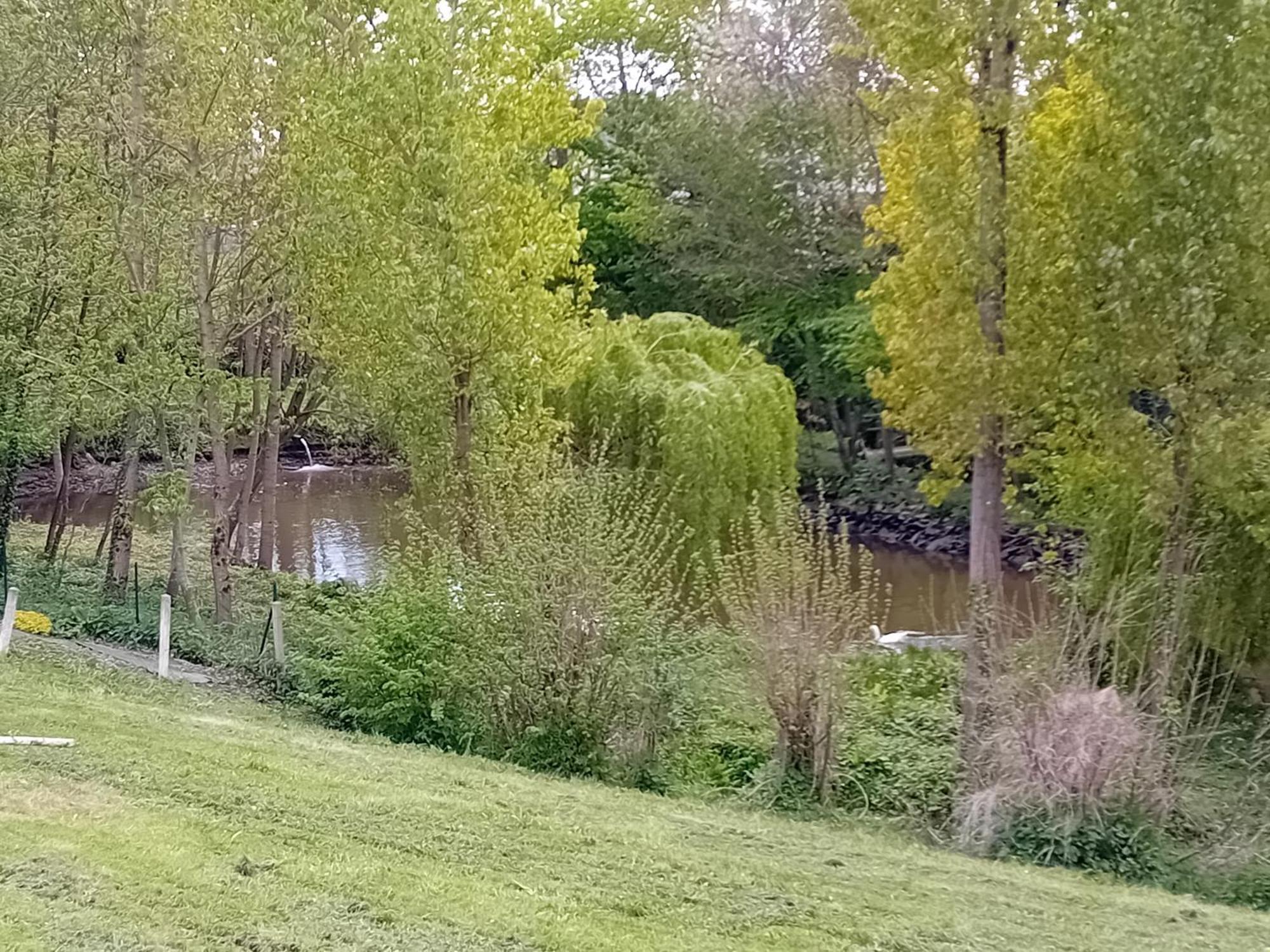 Maison Au Coeur De La Nature Cerisy-la-Foret Exteriér fotografie